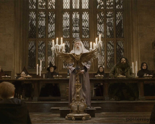 Harry Potter Movies: Where Magic and Imagination Collide