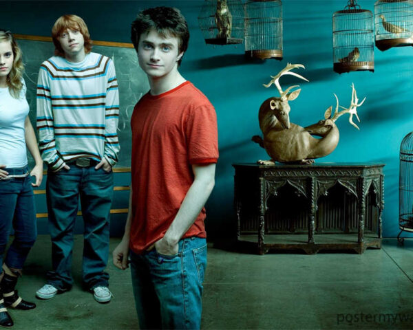 Exploring the Marvels of Harry Potter's Magic: An Unforgettable Journey
