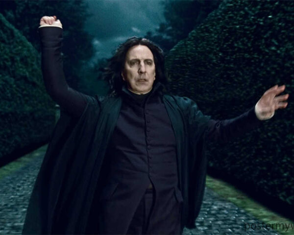 The Magic of Harry Potter: Unleashing the Power Within