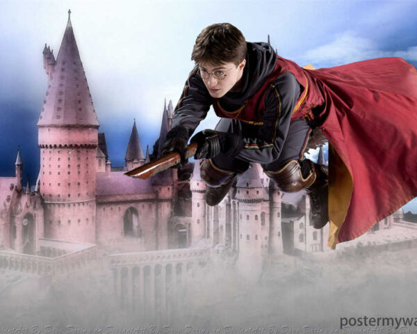 The Mesmerizing Magic of Harry Potter: Where Dreams Come Alive