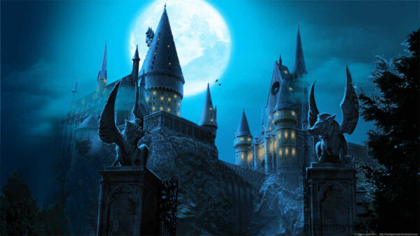 Harry Potter Movies: Where Fantasy Comes to Life