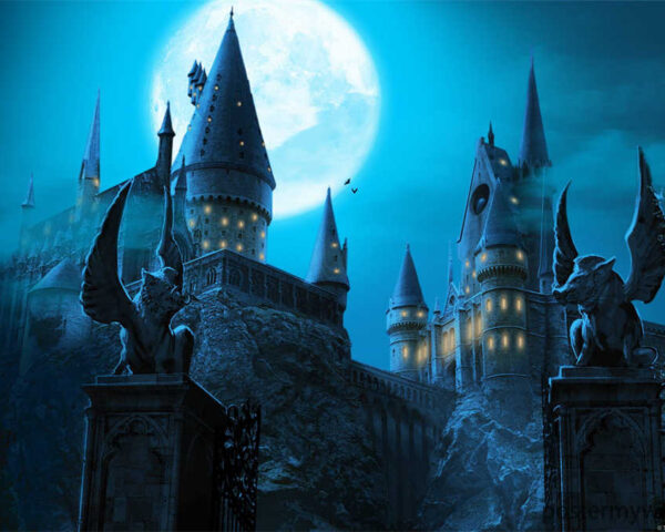 Harry Potter Movies: Where Fantasy Comes to Life