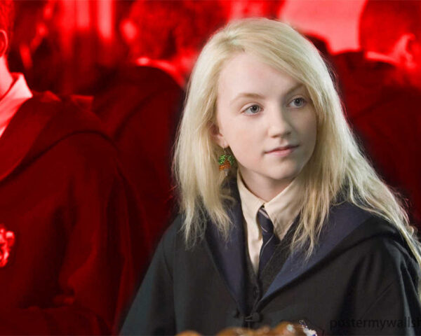 The Harry Potter Film Series: A Magical Legacy That Transcends Generations