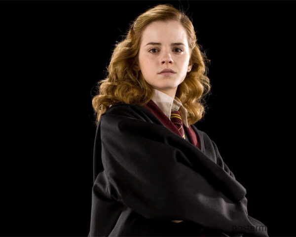Harry Potter Movies: A Journey into the Heart of Magic