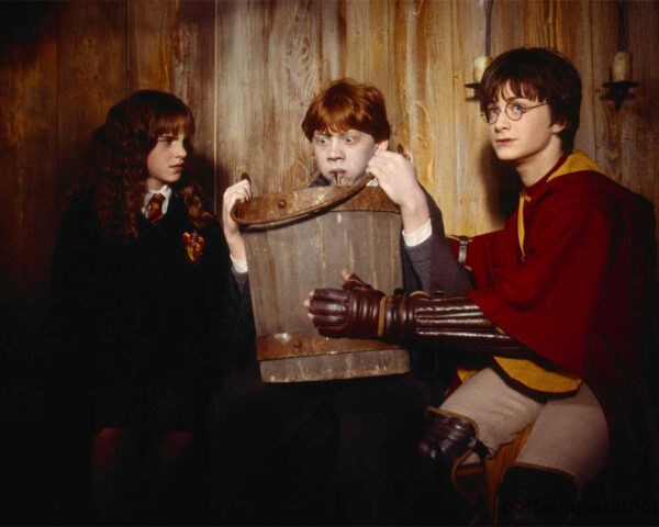 Harry Potter Films: A Magical Odyssey that Transcends Reality