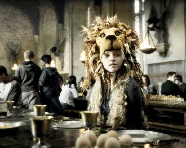 The Enduring Magic of Harry Potter Films: A Timeless Journey