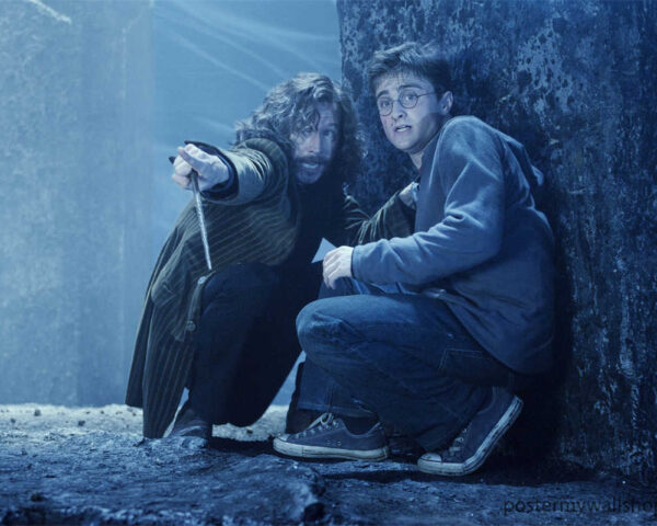 Harry Potter Films: Unlocking the Secrets of a Magical Legacy