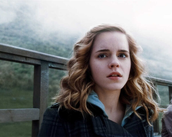 Harry Potter Films: A Journey into the Enchanted World of Witches and Wizards