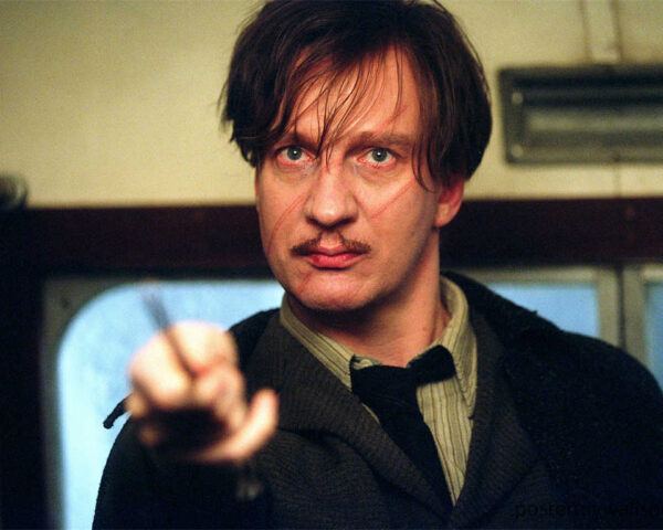 Harry Potter Films: A Majestic Symphony of Magic and Imagination
