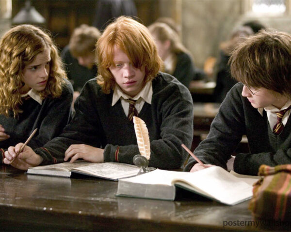 Harry Potter Films: A Gateway to a World of Magic and Adventure