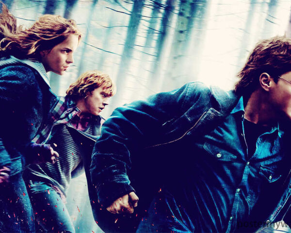 The Enchanting Magic of Harry Potter Films: A Cinematic Delight