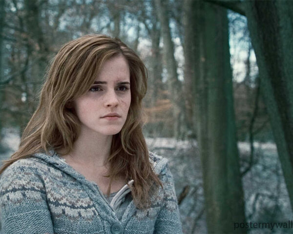 Harry Potter Films: Where Fantasy and Reality Collide