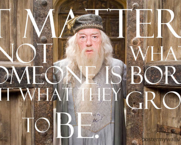 Harry Potter Films: A Phenomenon that Transcends Generations