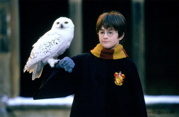 Harry Potter Films: A Cinematic Spellbinding Spectacle