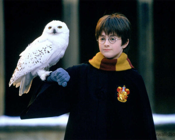 Harry Potter Films: A Cinematic Spellbinding Spectacle