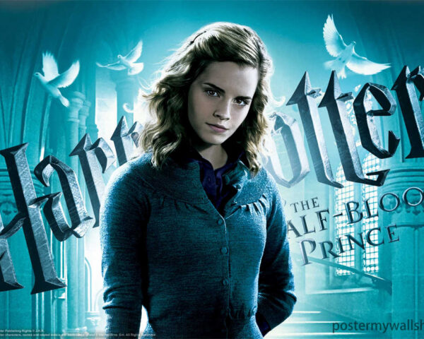 Harry Potter Films: A Cinematic Journey Beyond Imagination