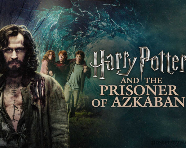Harry Potter Films: A Cinematic Tapestry of Adventure and Wonder