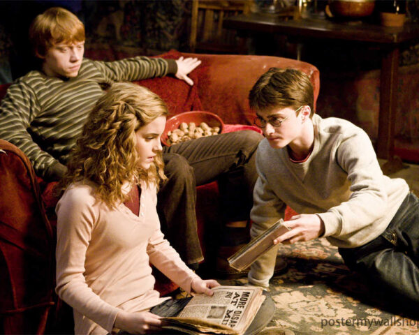 Harry Potter Films: A Cinematic Symphony of Magic and Adventure