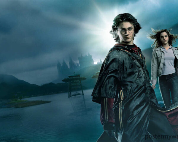 Harry Potter Films: A Cinematic Marvel Where Dreams Come to Life