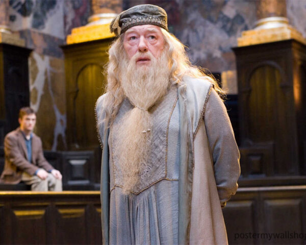 Harry Potter Films: A Cinematic Tapestry of Magic and Friendship