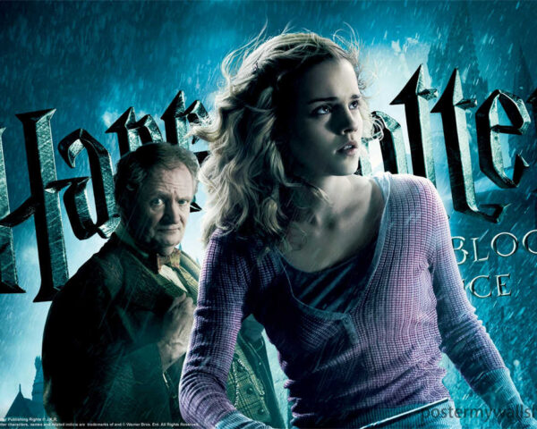 Harry Potter Films: A Cinematic Journey to Hogwarts and Beyond