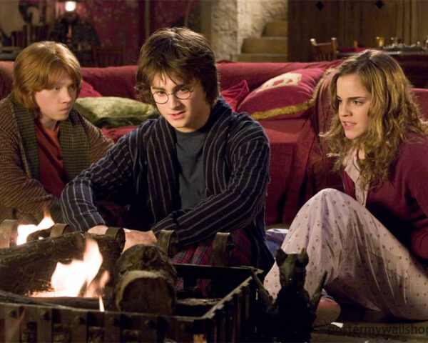 Harry Potter Films: A Cinematic Tapestry of Magic and Heroism