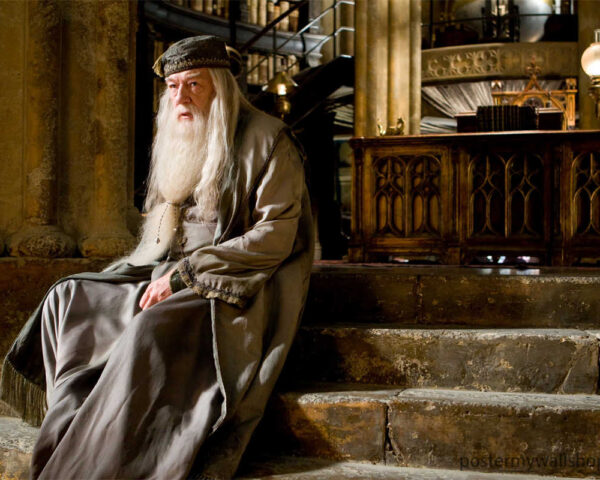 Harry Potter Films: A Cinematic Saga of Magic and Resilience