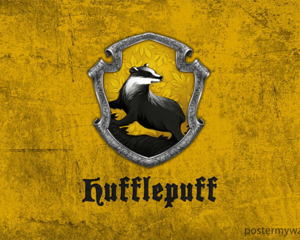Harry Potter Films: A Cinematic Journey Filled with Magic and Wonder