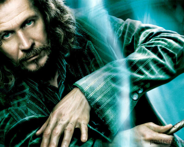 Harry Potter Films: A Cinematic Spectacle of Magic and Adventure