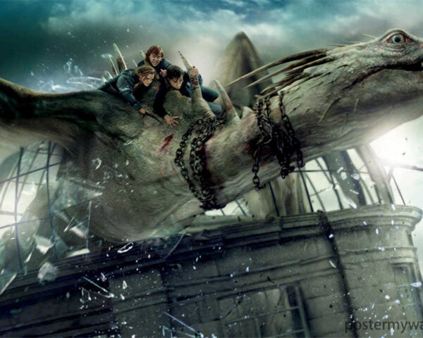 Harry Potter Films: A Cinematic Journey Filled with Wonders and Magic