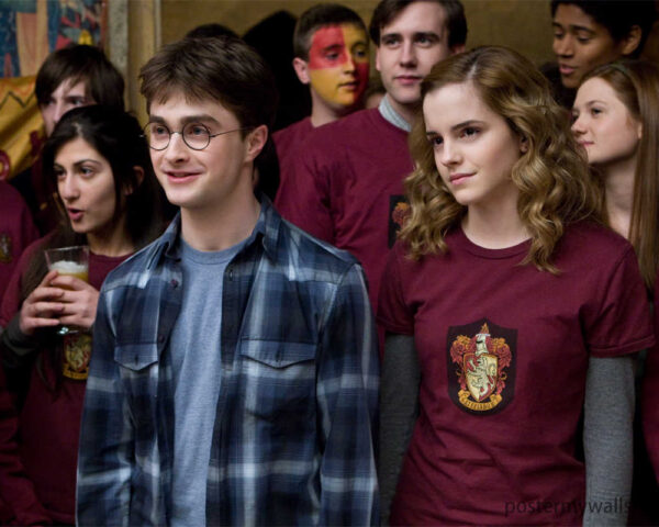 Harry Potter Films: A Cinematic Adventure Filled with Magic and Wonder