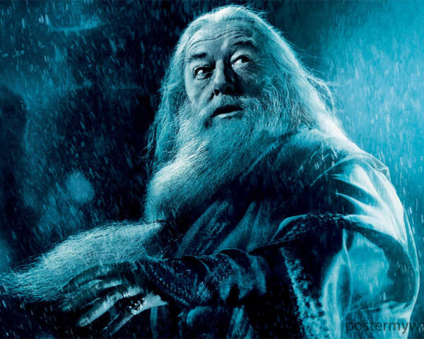 Harry Potter Films: Journey into a World of Magic and Adventure