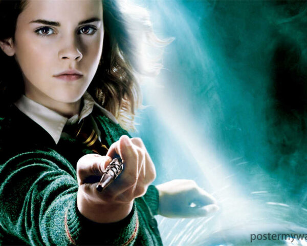 Harry Potter Films: A Cinematic Phenomenon of Magic and Adventure