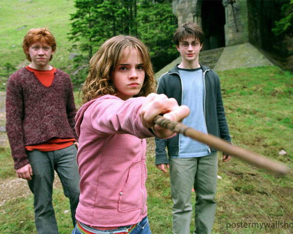 Harry Potter Films: A Magical Cinematic Legacy for All Ages