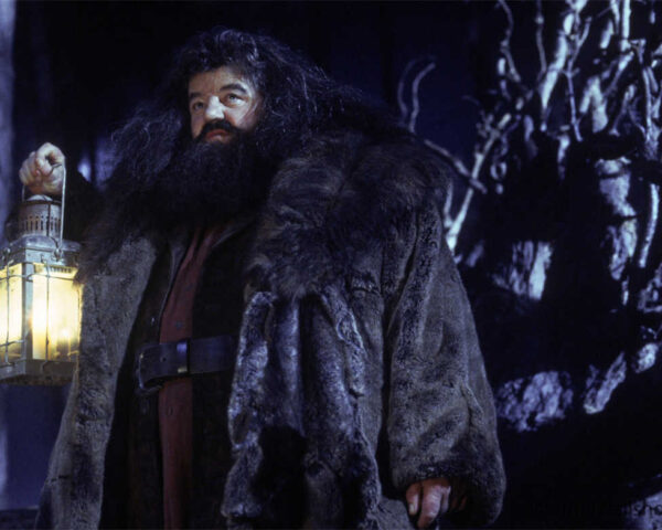 Harry Potter Films: A Cinematic Marvel of Magic and Friendship