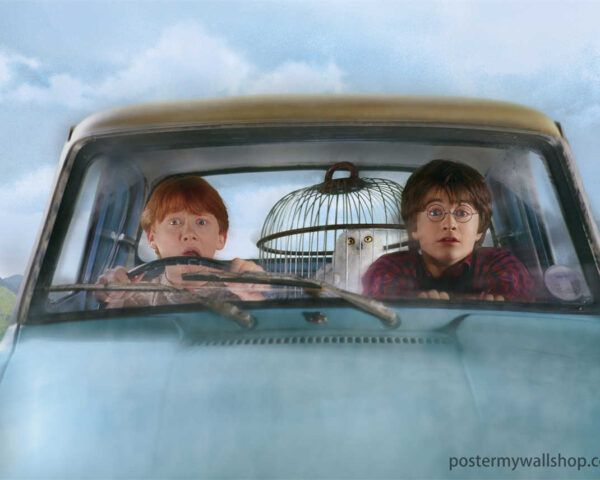 Harry Potter Films: A Cinematic Tapestry of Magic and Adventure