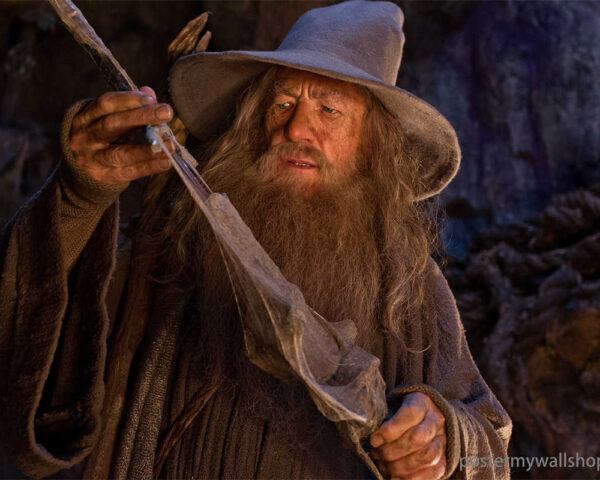 The Hobbits: Guardians of the Shire