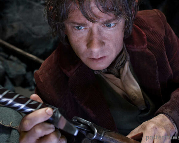 Bilbo Baggins: The Unlikely Hero of Middle-earth