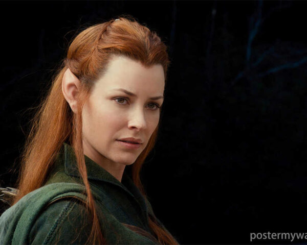 Hobbits: Protectors of Home and Guardians of Peace