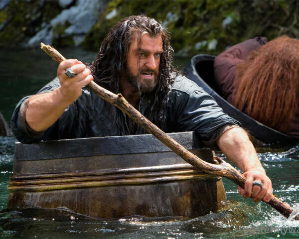 Hobbits: Advocates of Simple Pleasures and Balanced Living
