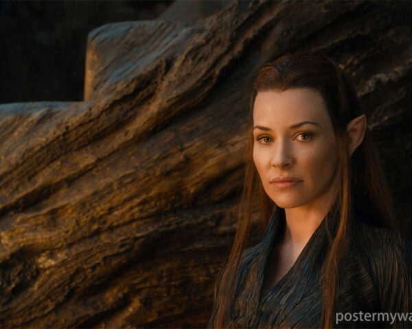 The Hobbit Love for Nature: Stewards of the Earth