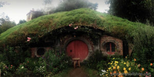 Hobbits: Lovers of Good Food and Comfort