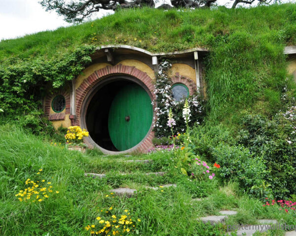 Hobbits: Loyal and Trustworthy Companions