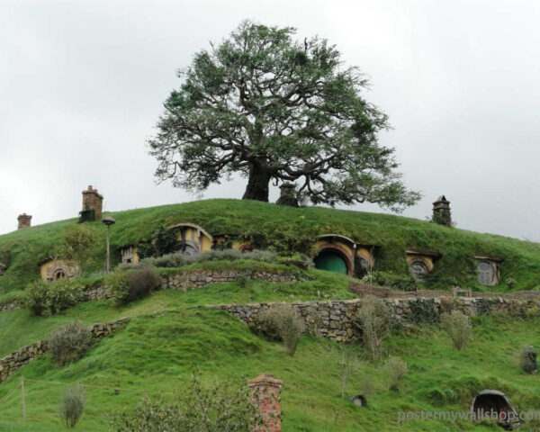 Hobbits: Astute Observers with Keen Senses