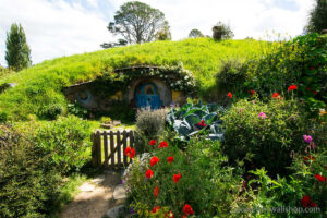 Hobbits: Inquisitive Minds and Lifelong Learners