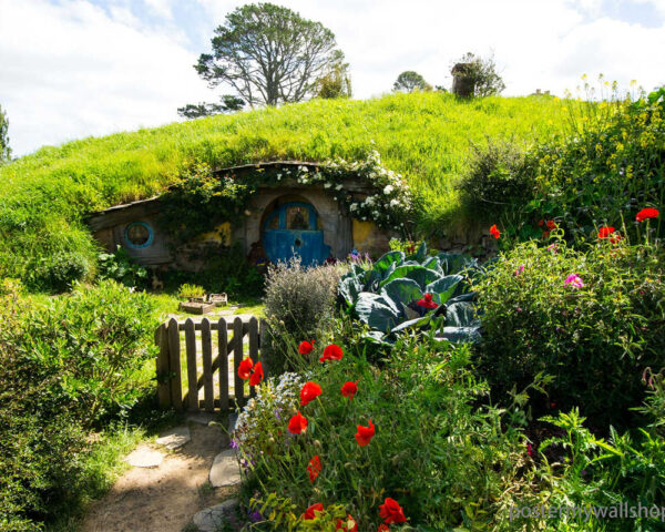 Hobbits: Inquisitive Minds and Lifelong Learners