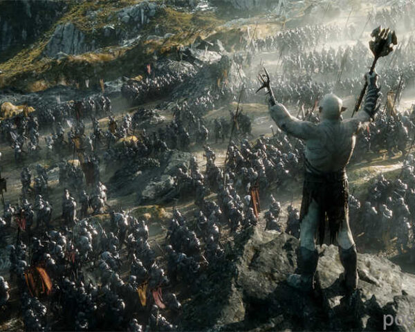 Hobbits: Uniting Different Races in Middle-earth