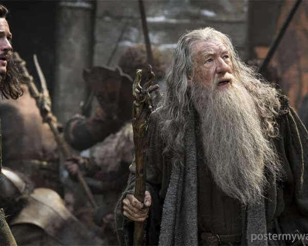Hobbits: A Journey of Selflessness and Sacrifice