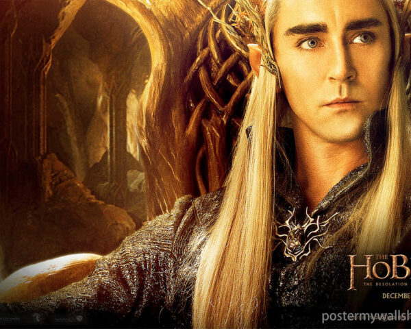 Hobbits: Embracing Diversity in a Fantasy World
