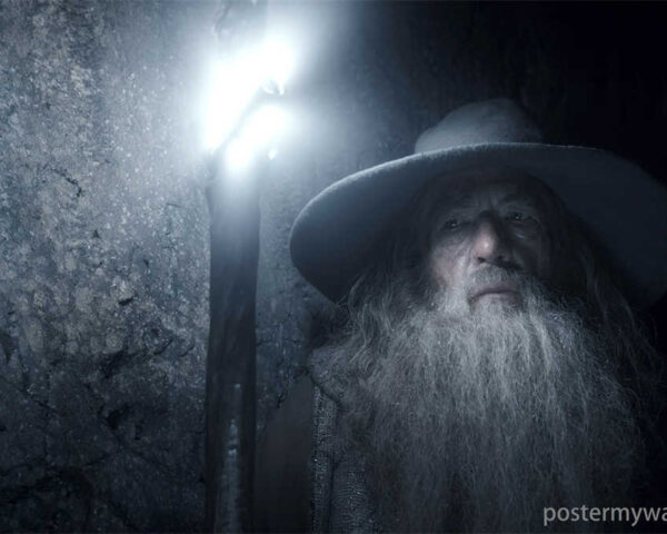 Hobbits: An Inspiring Tale of Overcoming Adversity